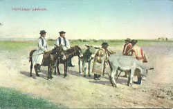 Hortobgyi juhszok (Postkarte, 1910)